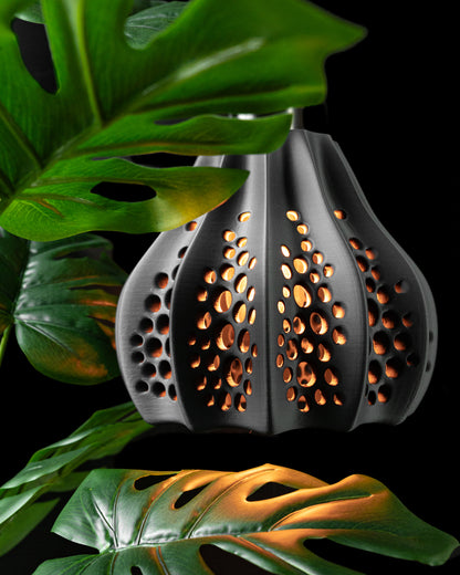 The Seafront Pendant Lamp - Artistic | Minimalist | Unique